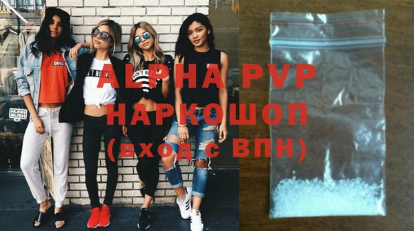 ПСИЛОЦИБИНОВЫЕ ГРИБЫ Михайлов