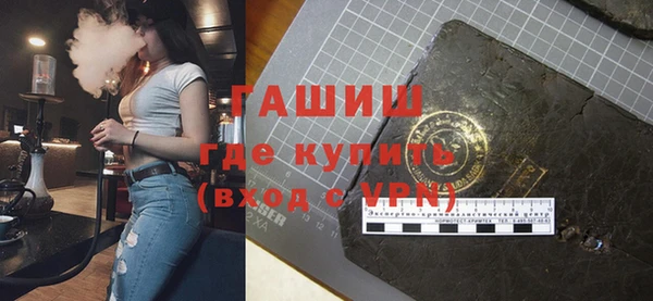 индика Надым