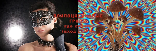 мет Михайловск