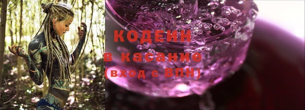 ПСИЛОЦИБИНОВЫЕ ГРИБЫ Михайлов