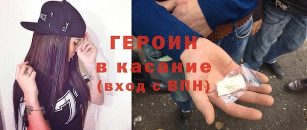 индика Надым