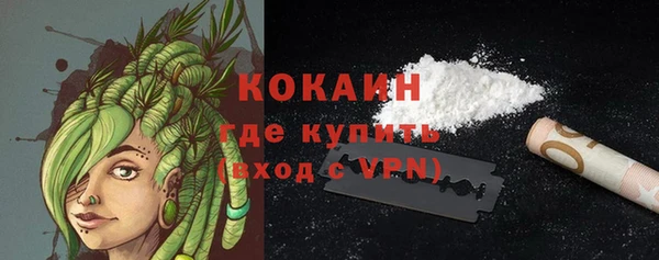 индика Надым